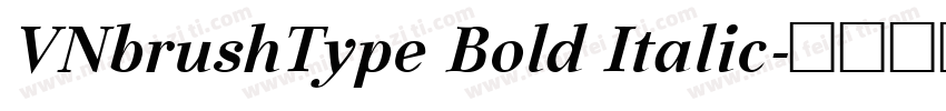 VNbrushType Bold Italic字体转换